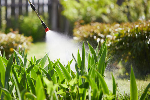 24/7 Emergency Fumigation Services experts in Warsaw, IN