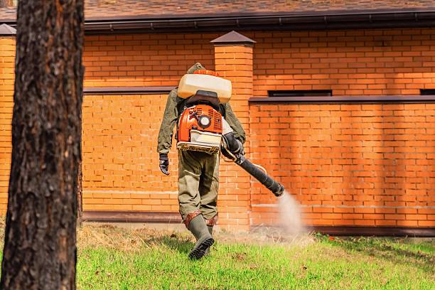 Trusted Cockroach Control service in Warsaw, IN - Nex Pest Control